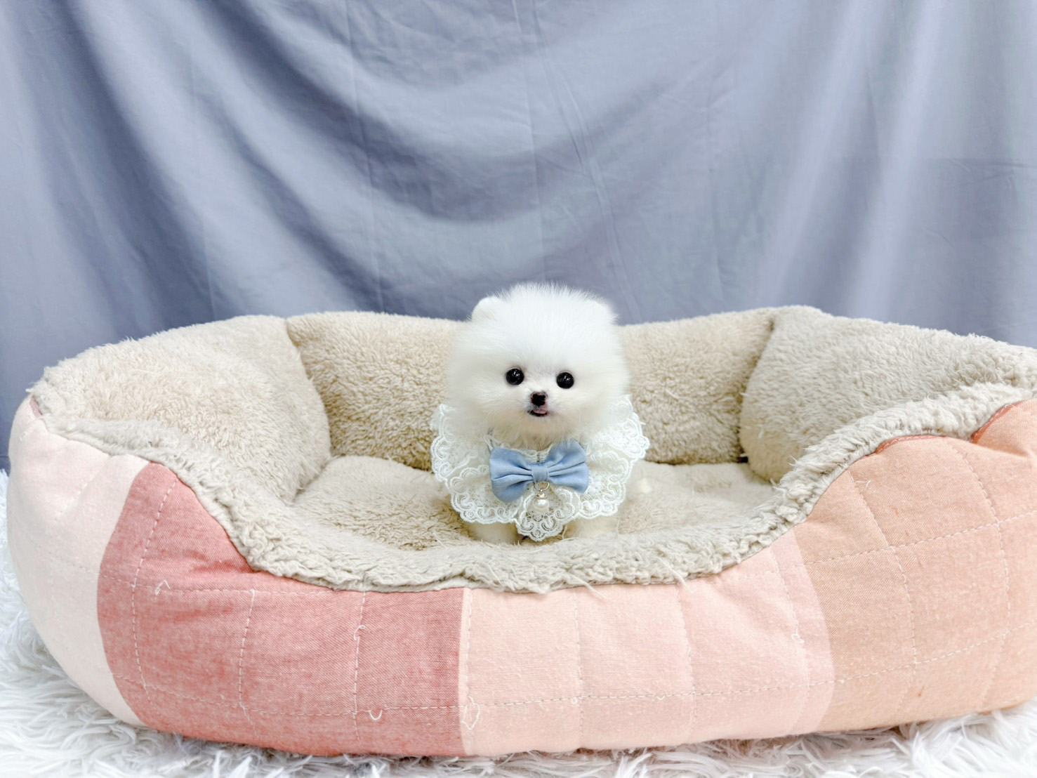 line_oa_chat_260109_144922_group_2_0